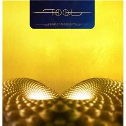 LP - Tool: Fear Inoculum 3LP